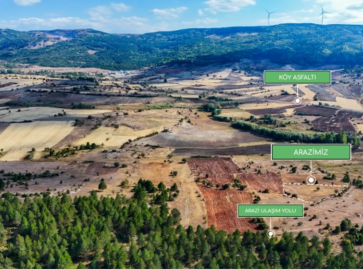 Kütahya Gedizde 2464 m² Geniş Arazi Fırsat Fiyat!