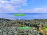 İznik Gölüne Yakın 387 m² Yatırımlık Zeytinlik