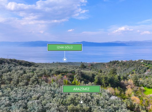 İznik Gölüne Yakın 387 m² Yatırımlık Zeytinlik