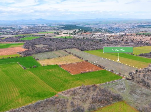 UŞAK KARAHALLI KAVAKLI 119 ADA 33 PARSEL 3.878 m²